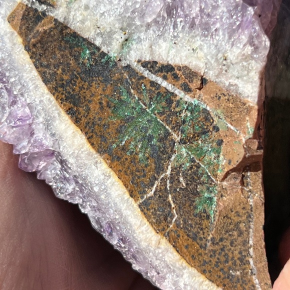 Amethyst (5) cluster | crystal - Picture 8 of 11